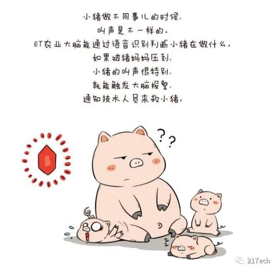 图片来自:阿里云